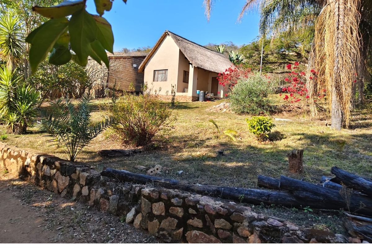 A view of a rustic cottage with a thatched roof, set within a natural garden featuring a stone retaining wall.