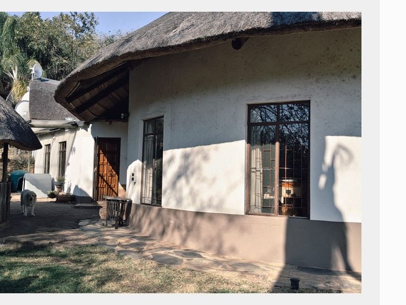 Rear view of a traditional farmhouse featuring a thatched roof, stone paved patio area, and secure window frames.