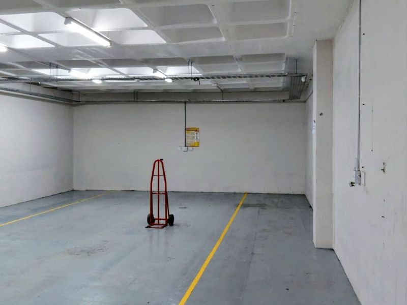 A spacious, empty industrial garage or storage area featuring a waffle slab ceiling, exposed electrical conduit, and painted concrete flooring with marked bays.