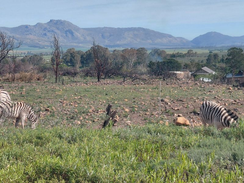 Life on a Private Nature Reserve - Photo 7