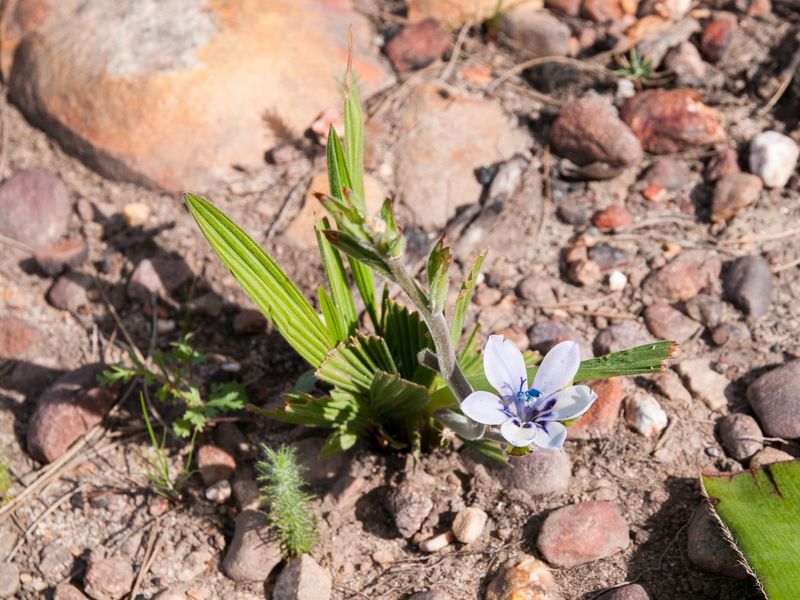 Life on a Private Nature Reserve - Photo 10