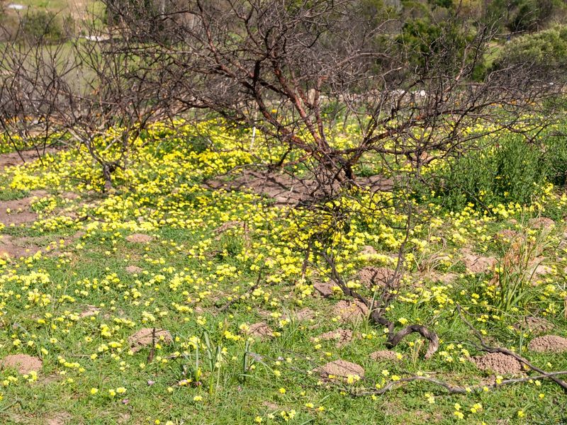 Life on a Private Nature Reserve - Photo 9