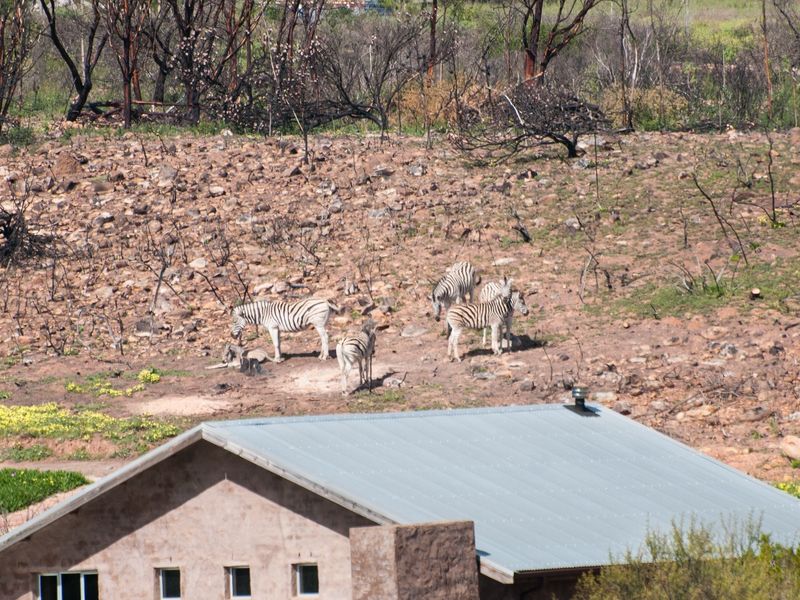 Life on a Private Nature Reserve - Photo 8