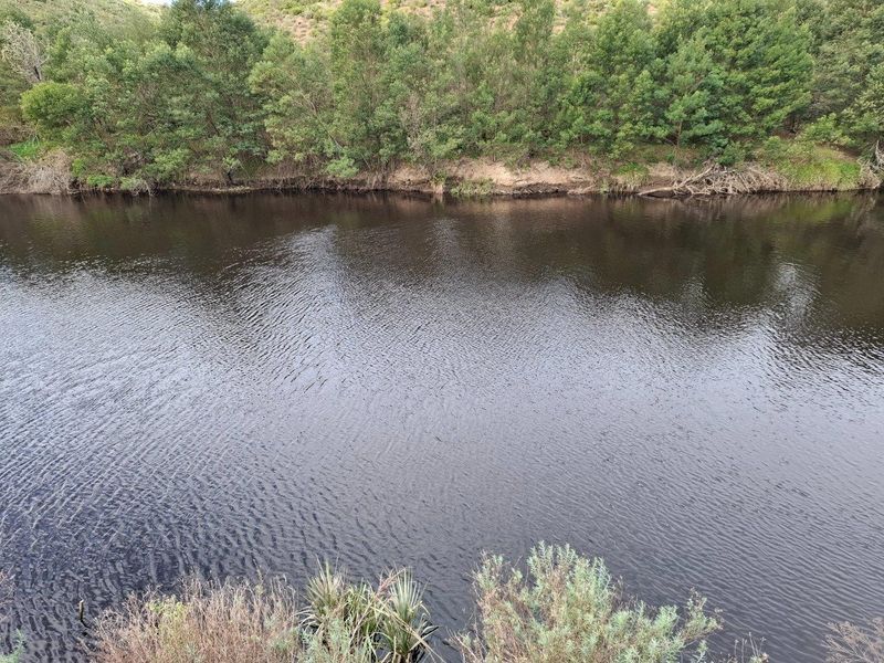 A scenic view of a calm river bordered by natural trees and vegetation on the property.