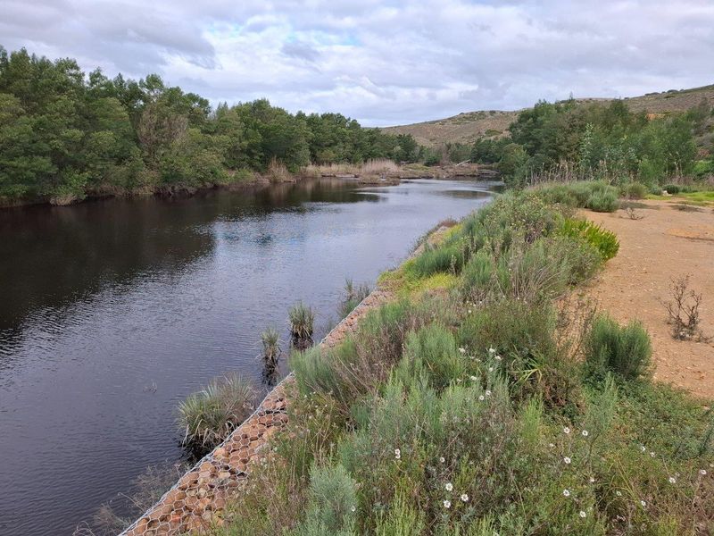 A scenic view of the river frontage featuring a gabion retaining wall along the bank, surrounded by natural vegetation and rolling hills.