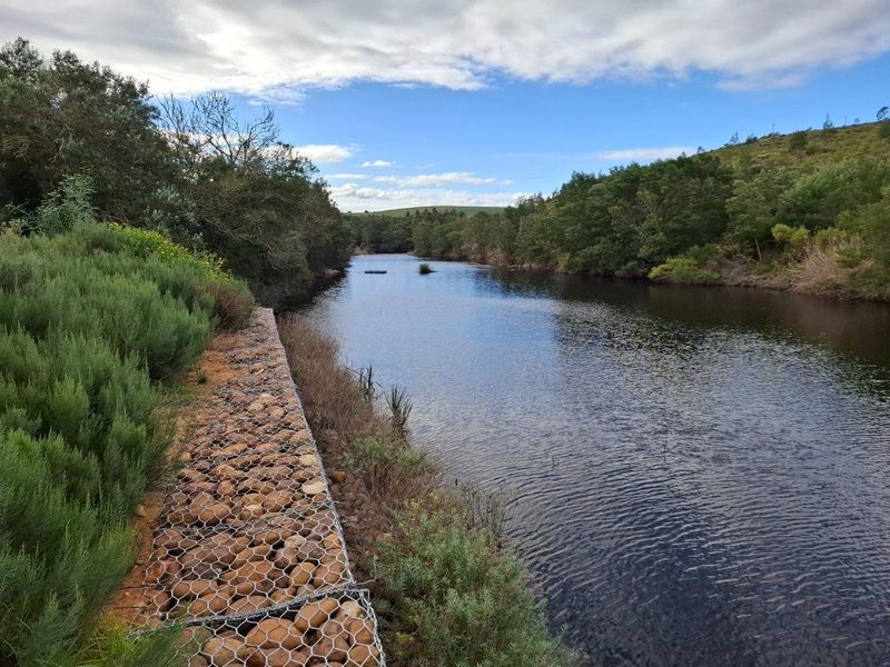 Scenic view of the river frontage featuring a well-maintained gabion retaining wall along the bank, surrounded by natural vegetation.