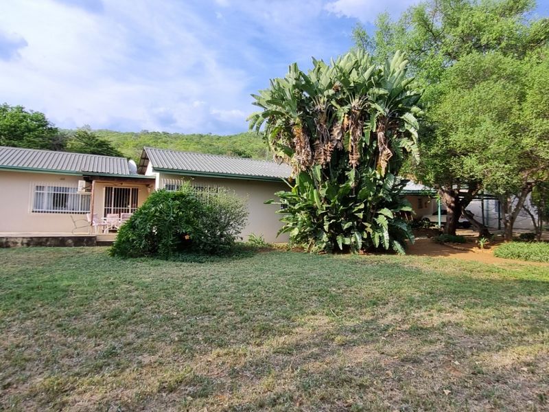 Rear view of the small holding property featuring a metal roof, concrete patio, and established garden surroundings.