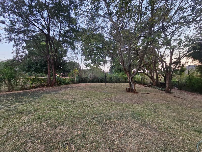 A spacious, established garden area featuring mature trees and a grass lawn, offering a natural outdoor setting.