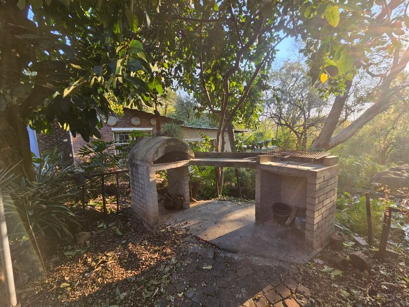 Outdoor garden area featuring a rustic built-in brick braai and pizza oven, set within a natural, tree-shaded landscape.