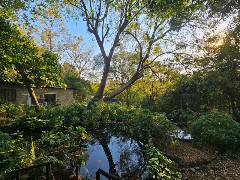 A lush, landscaped garden featuring a natural stone-lined pond, mature trees, and a view of the brick-clad exterior of the home.