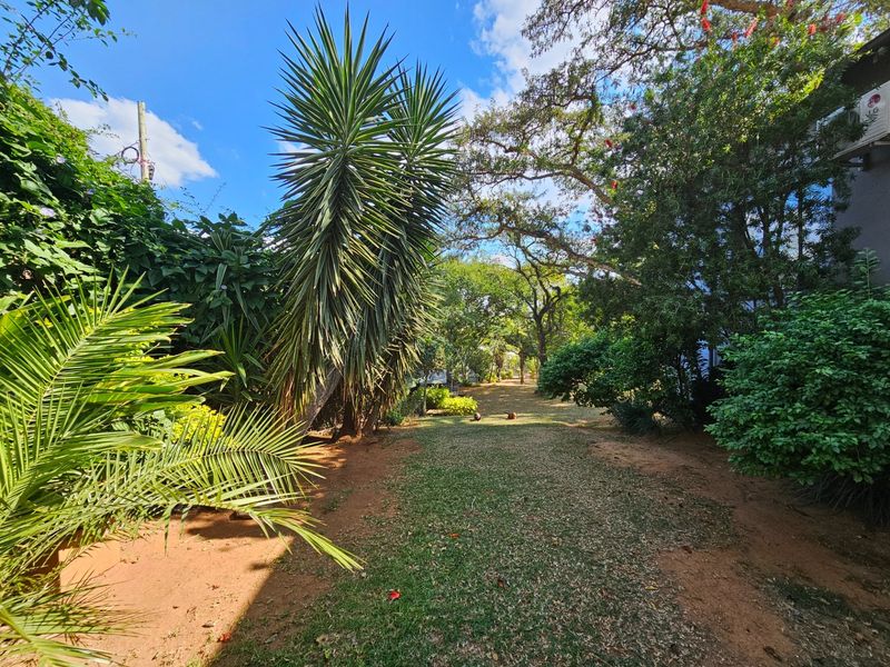 A spacious, mature garden area featuring established trees and shrubs with a lawn pathway.