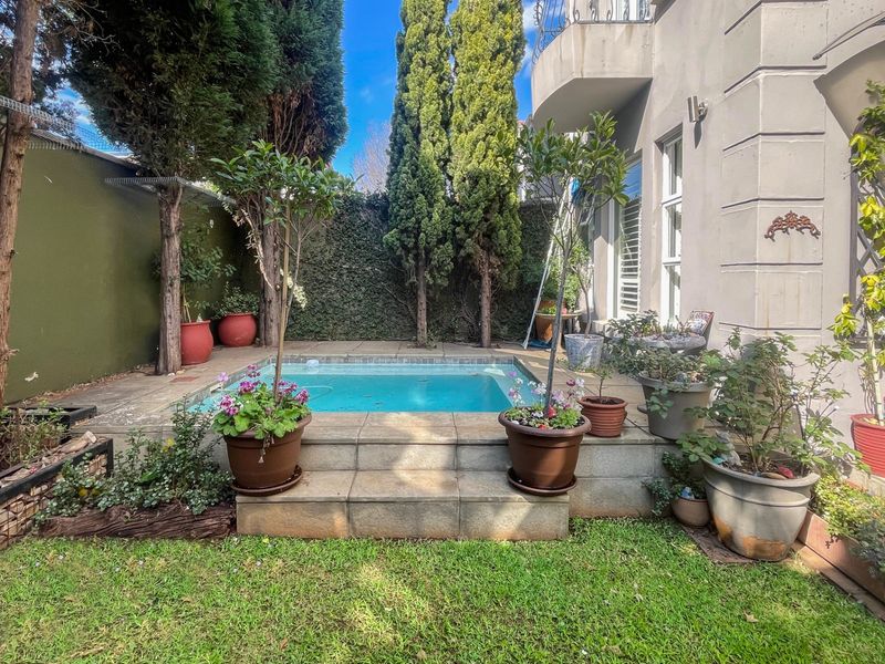 A compact backyard featuring a small plunge pool with tiled steps, surrounded by a lawn and established garden greenery.