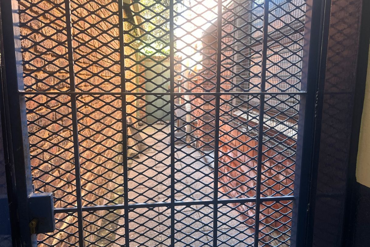 A view through a metal security gate into a narrow, paved rear exterior passage enclosed by brick walls.