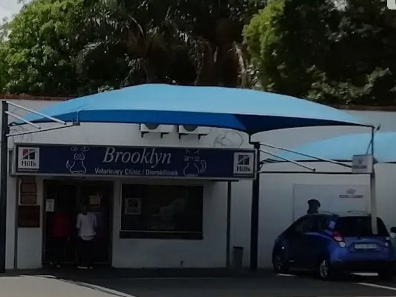 Front exterior view of the Brooklyn Veterinary Clinic featuring a blue shade sail structure and building signage.