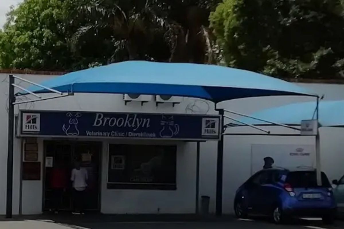 Front exterior view of the Brooklyn Veterinary Clinic featuring a blue shade sail structure and building signage.