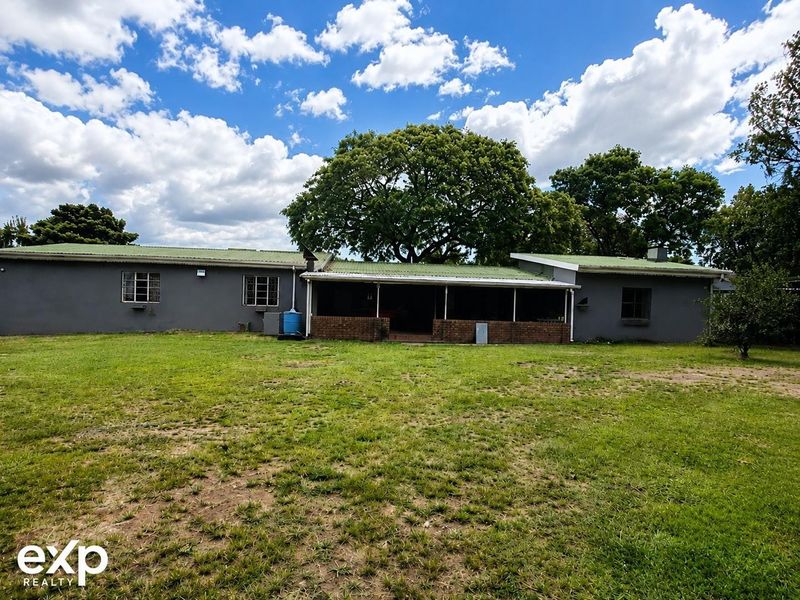 Rear view of the house featuring a covered patio area, corrugated metal roofing, and a large backyard with established trees.