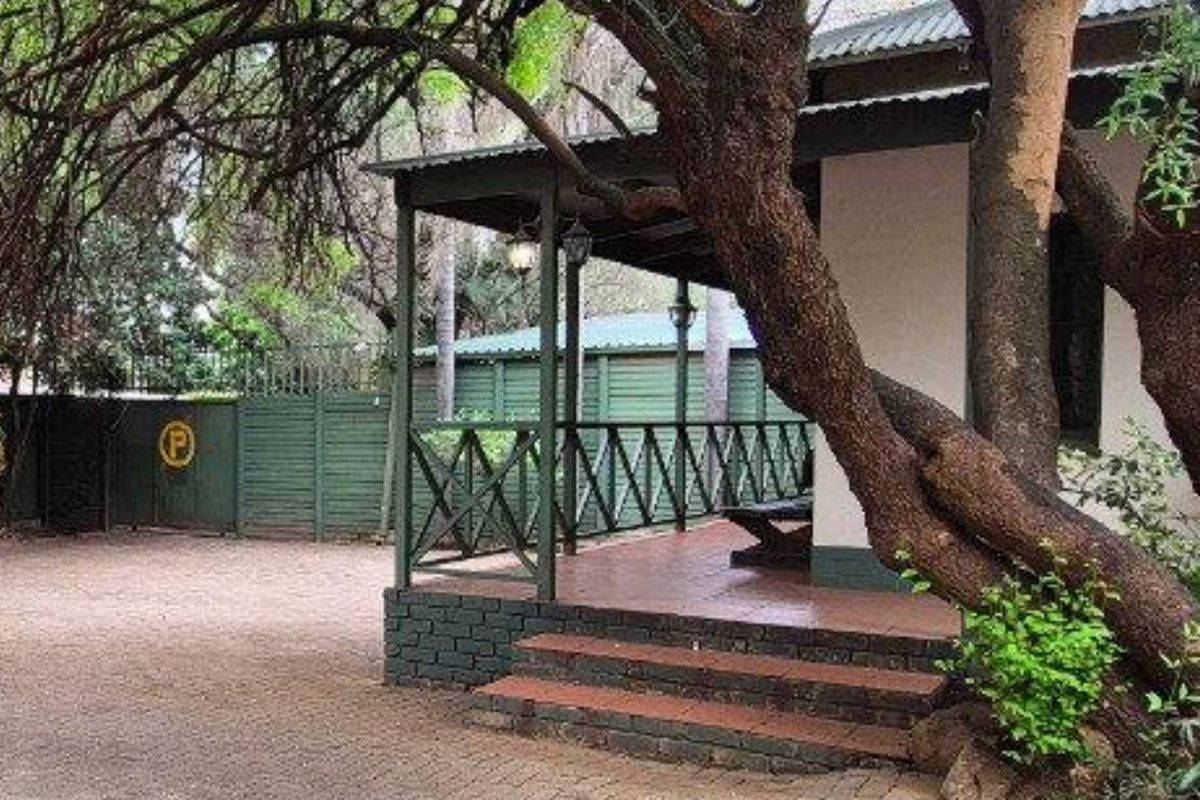 A charming front exterior view featuring a covered veranda with brick steps, timber railings, and a paved driveway shaded by a large mature tree.