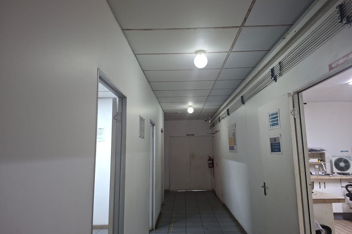 A functional commercial hallway featuring a suspended ceiling, tiled flooring, and exposed conduit, providing access to multiple laboratory and utility rooms.