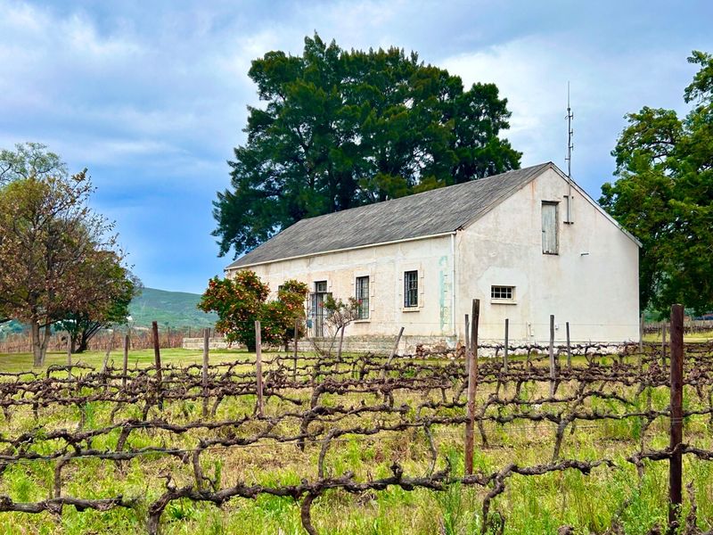 A rustic farm building set behind a vineyard, featuring a gabled roof and weathered exterior walls in a rural landscape setting.