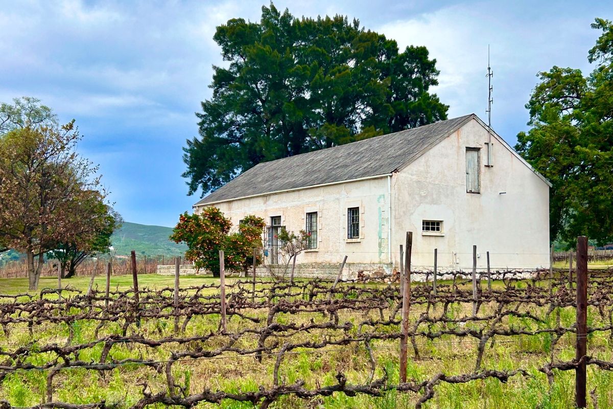 A rustic farm building set behind a vineyard, featuring a gabled roof and weathered exterior walls in a rural landscape setting.