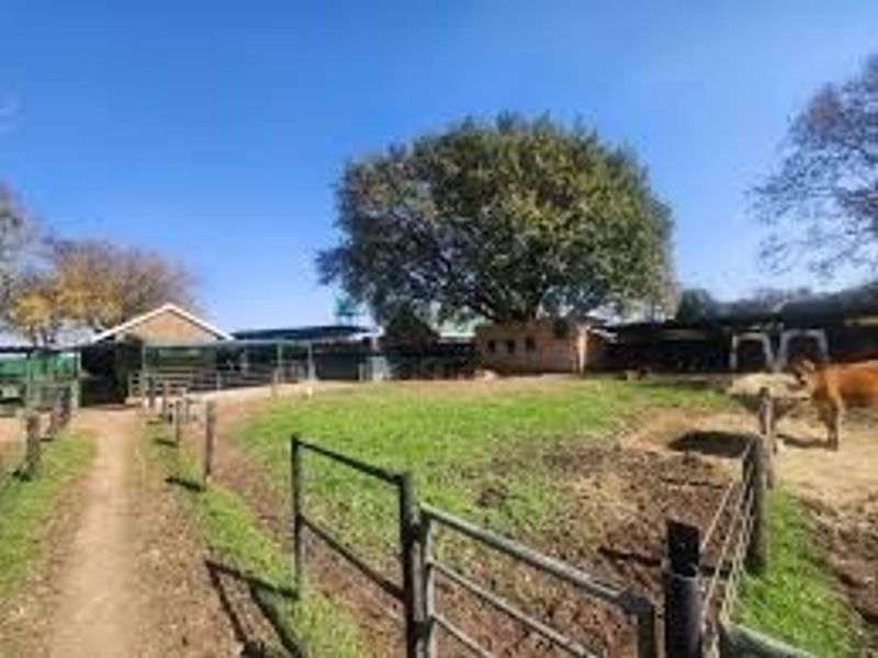A view of the farm exterior featuring livestock enclosures, metal fencing, and various outbuildings set against a large tree.