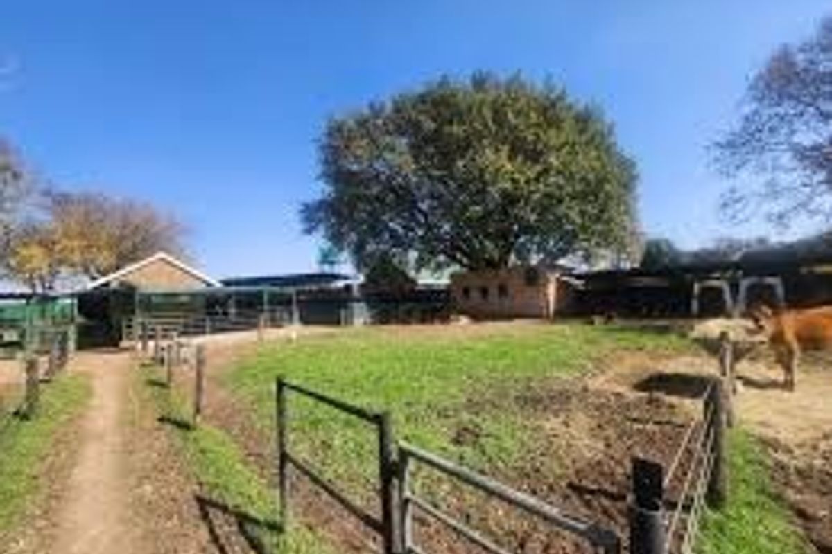 A view of the farm exterior featuring livestock enclosures, metal fencing, and various outbuildings set against a large tree.