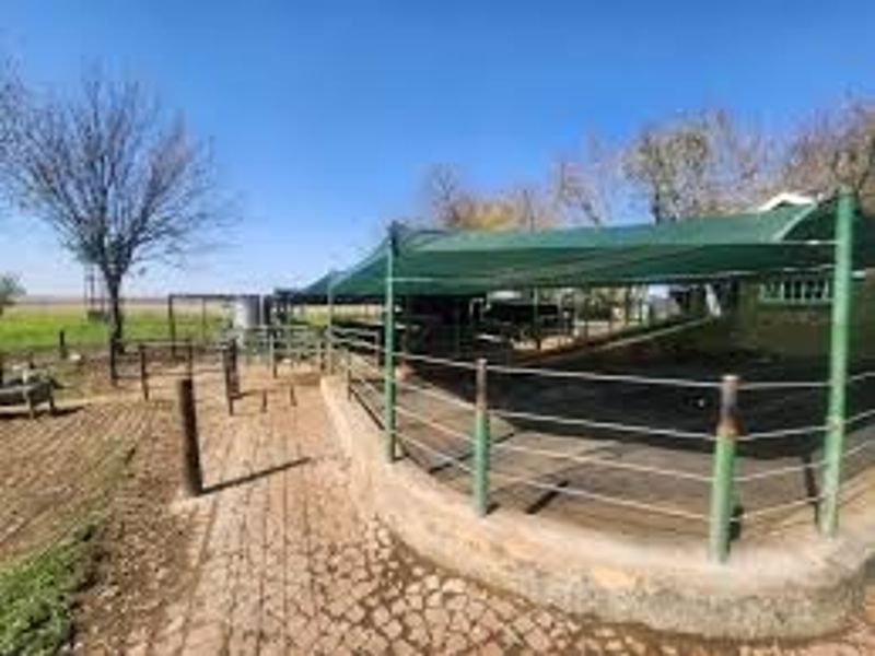 Outdoor farm area featuring a paved walkway, metal fencing, and shade netting structures, suitable for livestock or agricultural utility purposes.