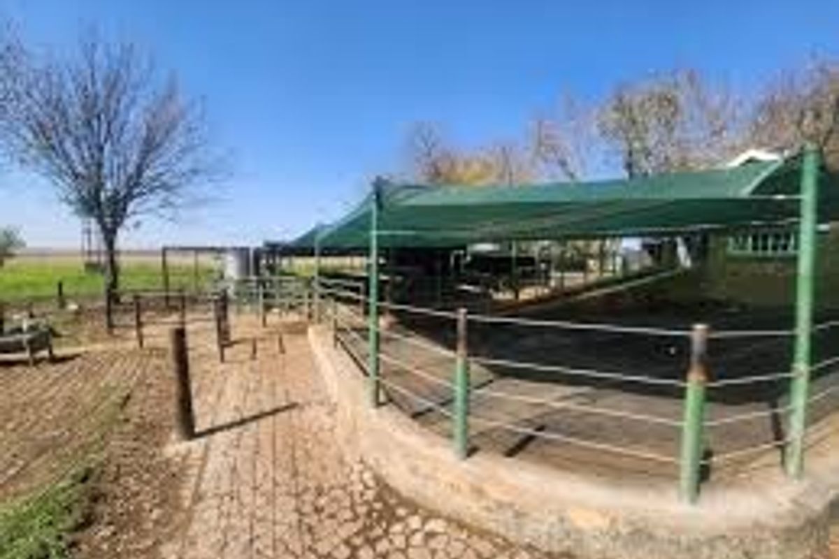 Outdoor farm area featuring a paved walkway, metal fencing, and shade netting structures, suitable for livestock or agricultural utility purposes.