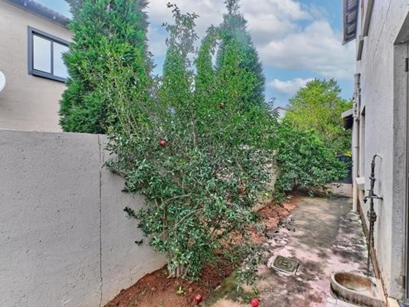 A side exterior walkway featuring a paved path, boundary wall, and external water tap, bordered by established garden greenery.