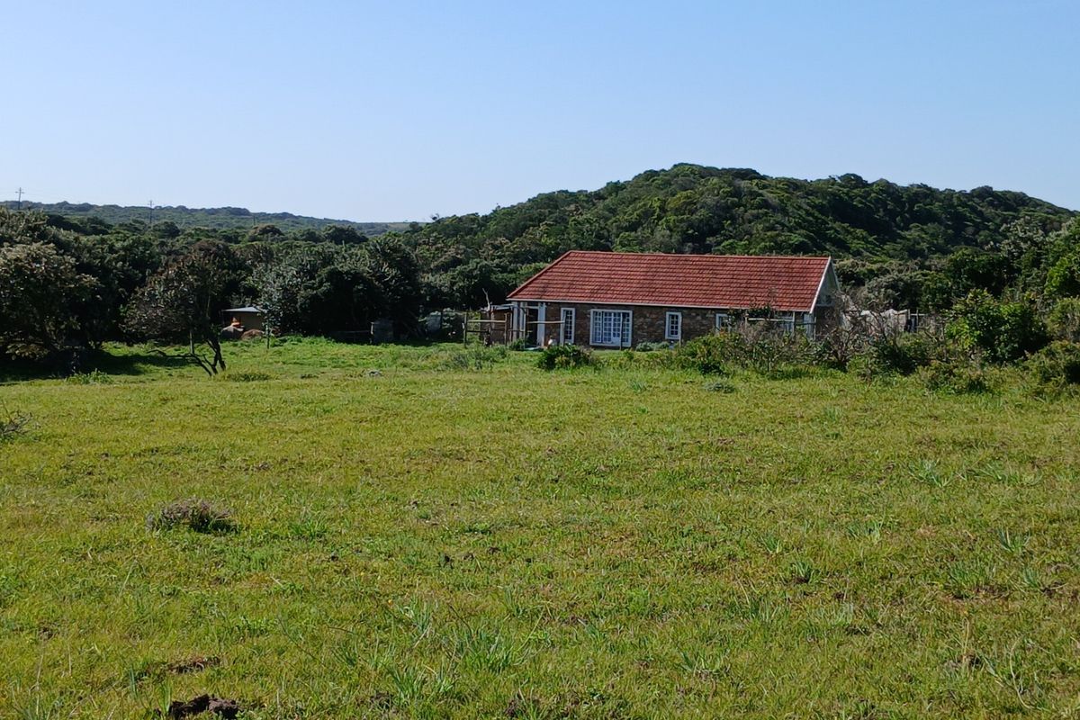 A view of the rear elevation of a stone-built cottage set within a large, open grassy field surrounded by natural vegetation.