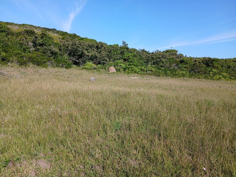A view of the open, undeveloped land featuring natural grass and indigenous vegetation on the small holding.
