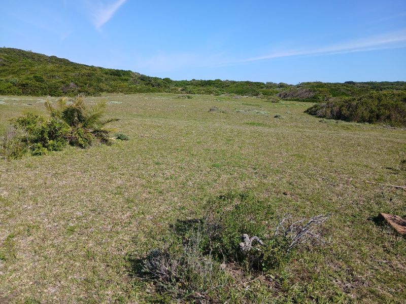 An expansive open grassland area featuring natural indigenous vegetation and a clear view of the surrounding landscape.