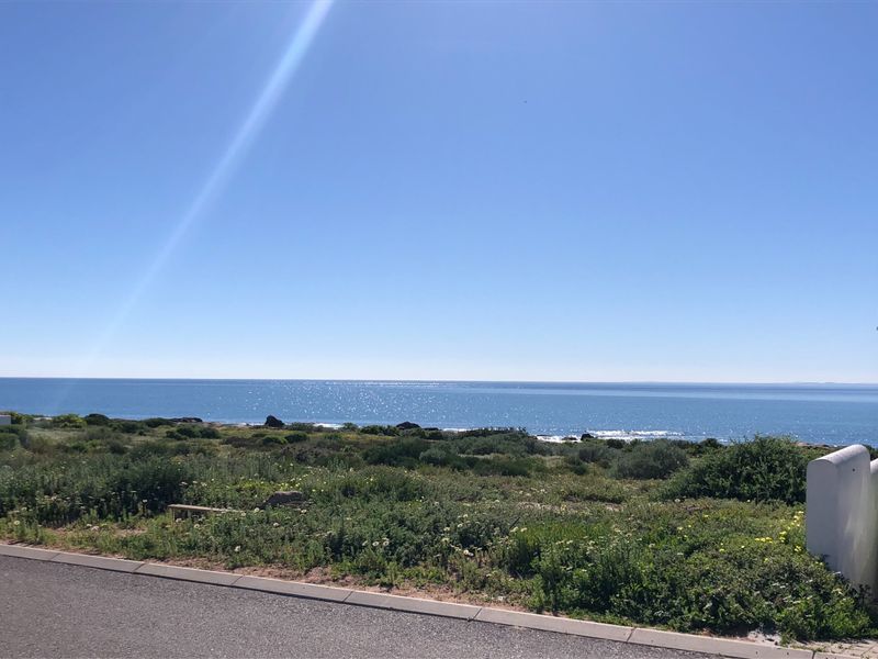 A scenic view of the coastline featuring natural vegetation and a clear ocean horizon from the roadside.