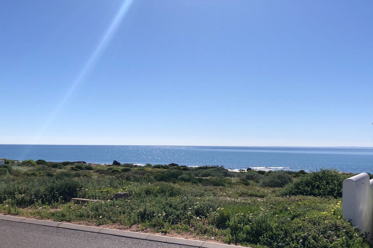A scenic view of the coastline featuring natural vegetation and a clear ocean horizon from the roadside.