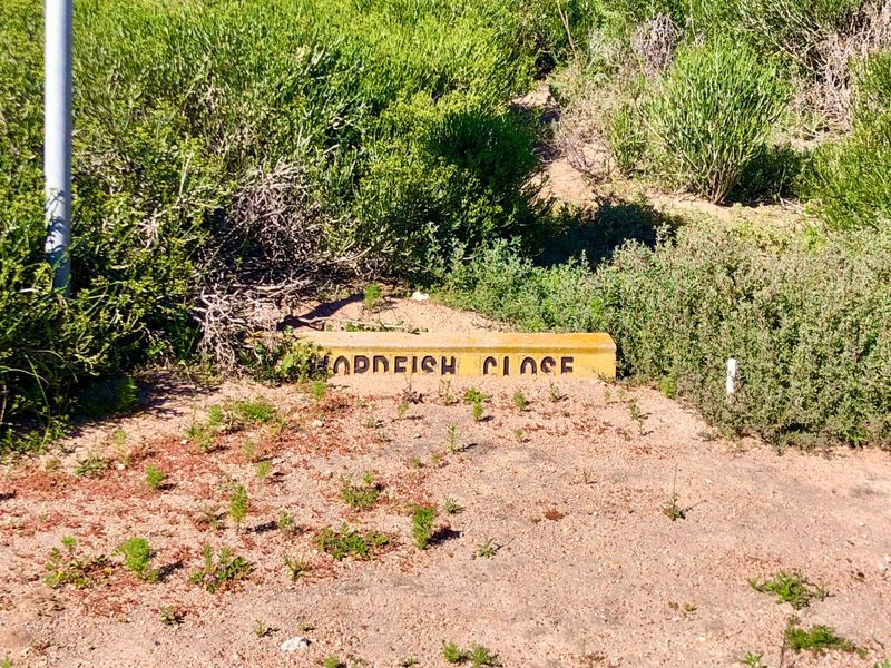 A street name sign for Hopdish Close located on a vacant residential plot with natural vegetation.