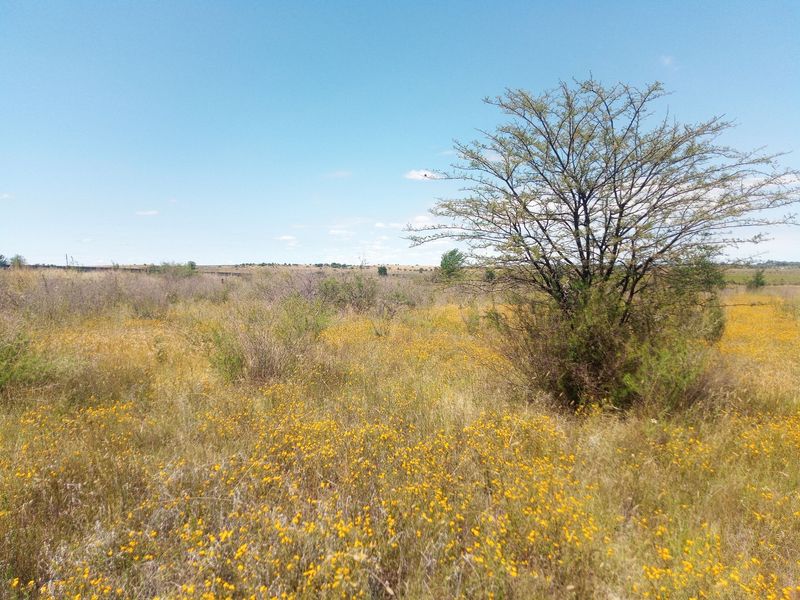 A view of an expansive, undeveloped plot of land featuring natural vegetation and wildflowers under a clear blue sky.