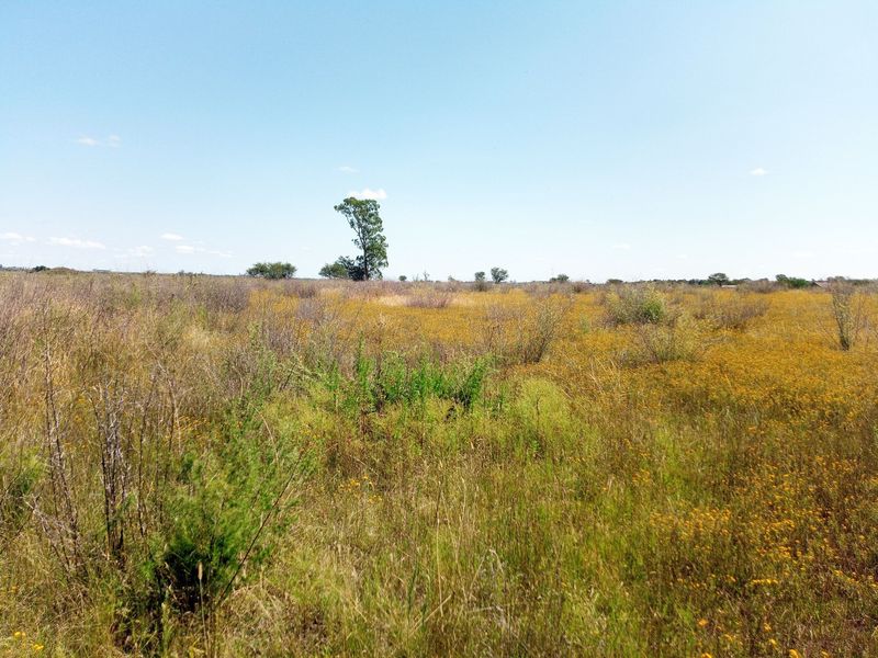 A wide-angle view of a vacant commercial land plot featuring natural vegetation and open space.