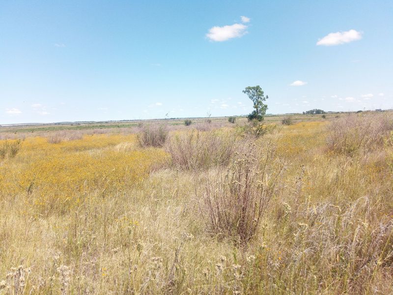 A wide-angle view of the undeveloped commercial land featuring natural vegetation and open terrain.