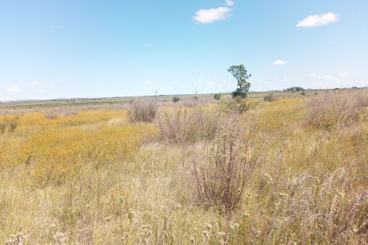 A wide-angle view of the undeveloped commercial land featuring natural vegetation and open terrain.