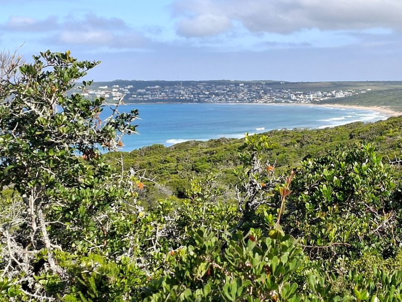 A scenic coastal view overlooking the ocean, coastline, and distant residential development, framed by native coastal vegetation.