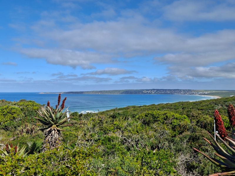 A scenic elevated view overlooking the coastline, ocean, and natural coastal vegetation.