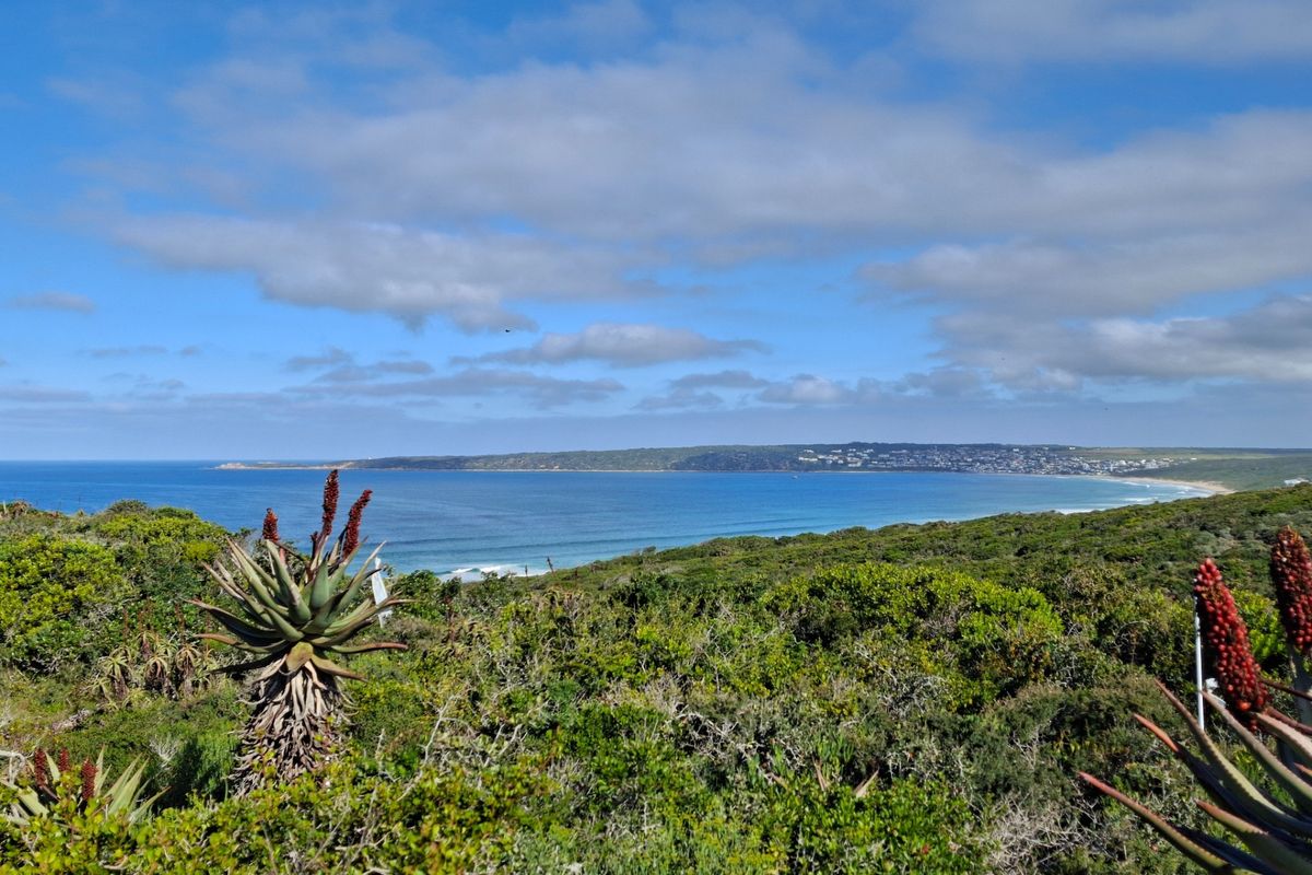 A scenic elevated view overlooking the coastline, ocean, and natural coastal vegetation.