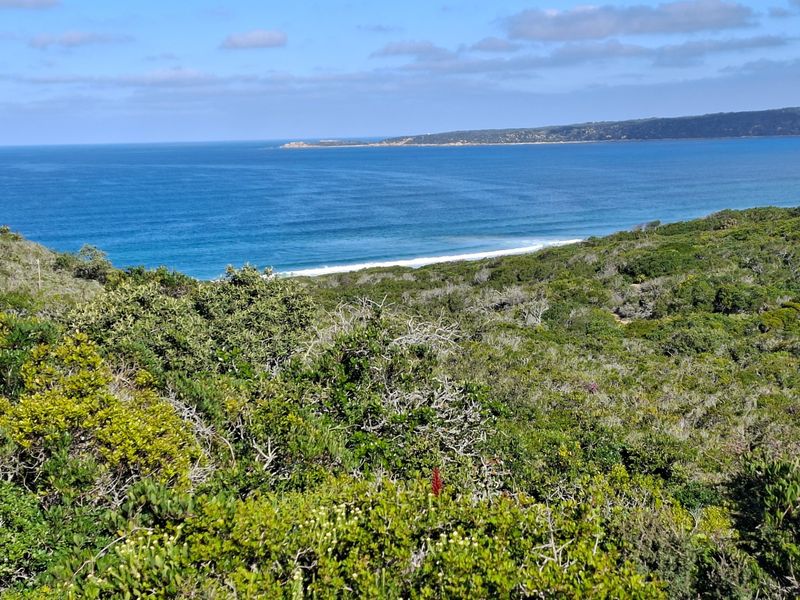 A scenic elevated view overlooking the natural coastal landscape and the ocean.