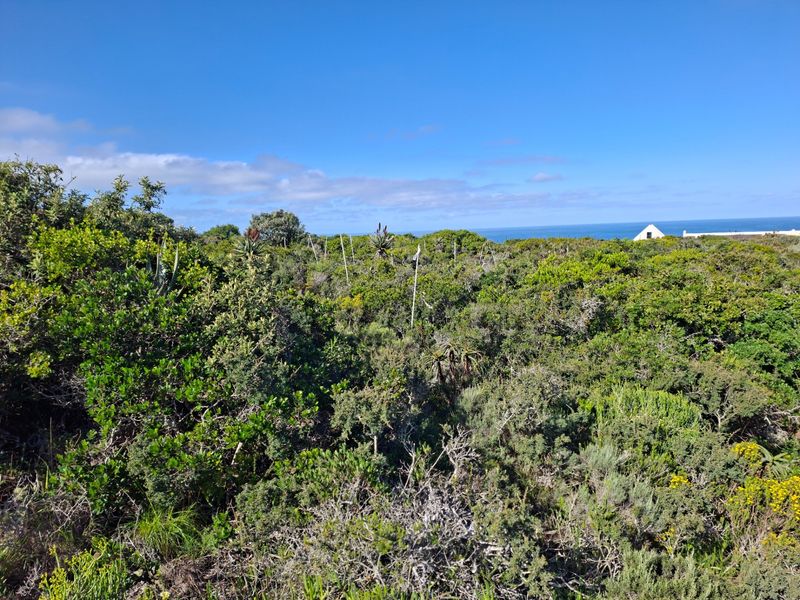 A view of the coastal landscape and ocean from the vacant residential property, featuring dense native vegetation.
