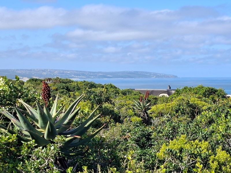 A scenic view overlooking coastal landscape and native vegetation with the ocean in the distance.