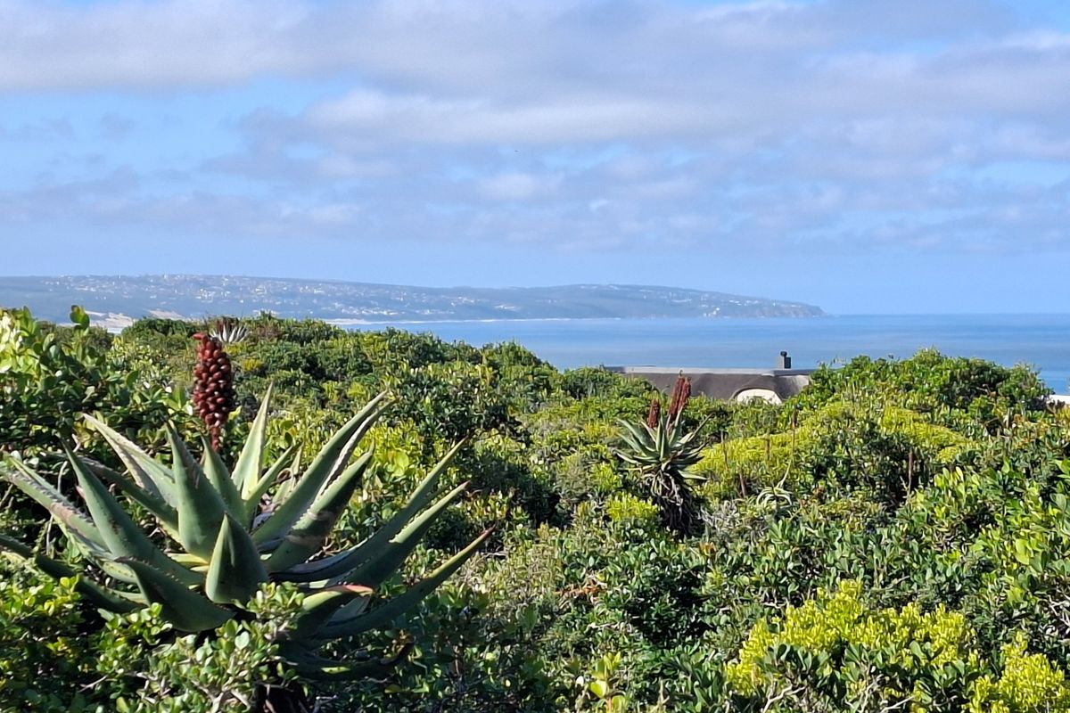A scenic view overlooking coastal landscape and native vegetation with the ocean in the distance.