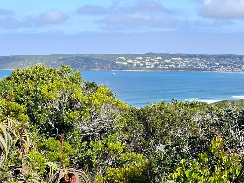 A scenic coastal view overlooking the ocean and distant hillside residential area, captured from the elevated vantage point of the vacant land.