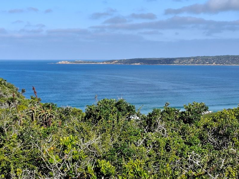 A scenic view of the ocean and coastline, showcasing the natural landscape and horizon.