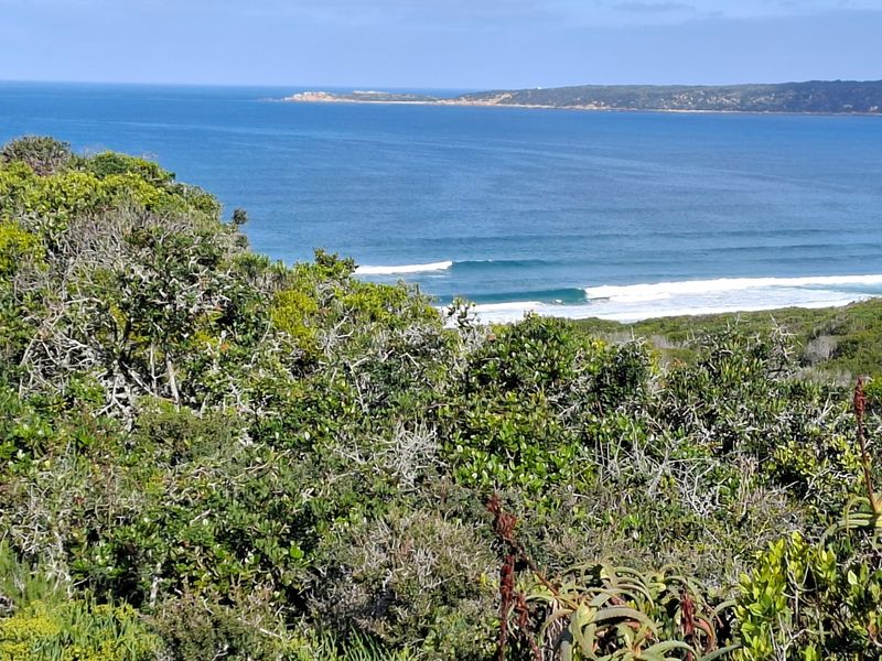 A scenic view of the ocean and coastline, showcasing the natural landscape and coastal vegetation of the property.