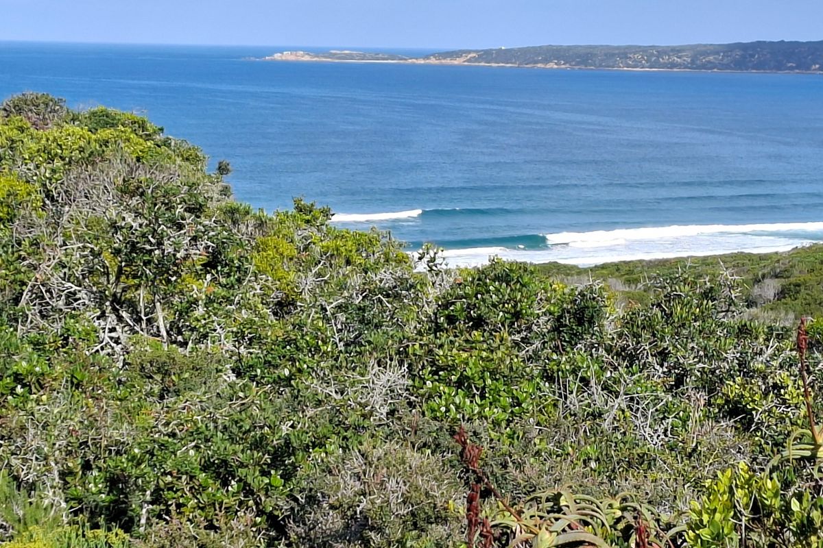 A scenic view of the ocean and coastline, showcasing the natural landscape and coastal vegetation of the property.